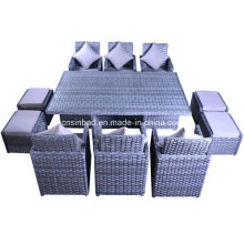 Indoor & Outdoor Rattan Furniture for Garden / Living Room with 6 Seater / SGS (5007)